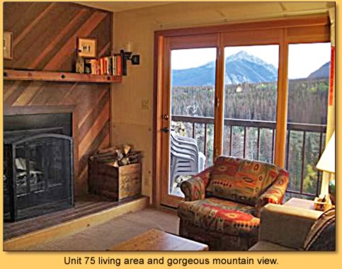 Unit 75 living area and gorgeous mountain view.