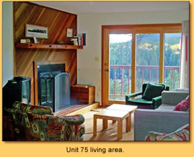 Unit 75 living area.
